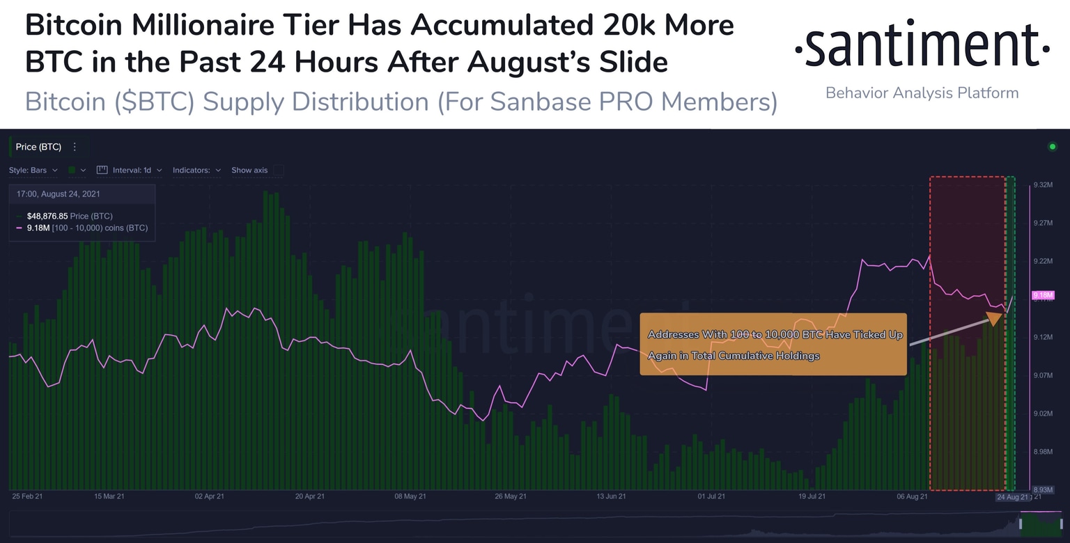 Large wallet investors have accumulated 20,000 more BTC.