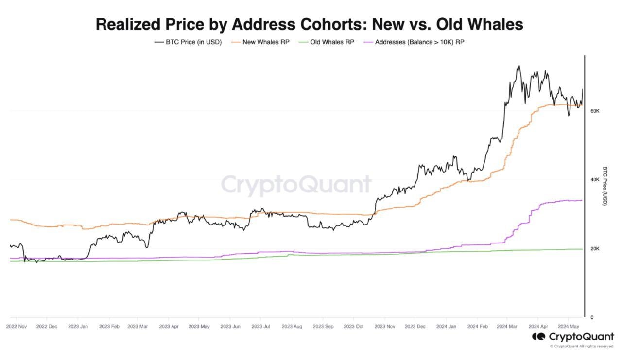 BTC Realized Price by Address Cohorts