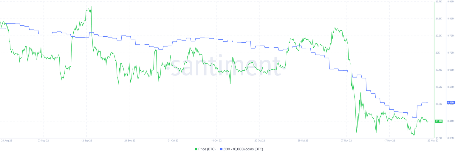 BTC supply distribution
