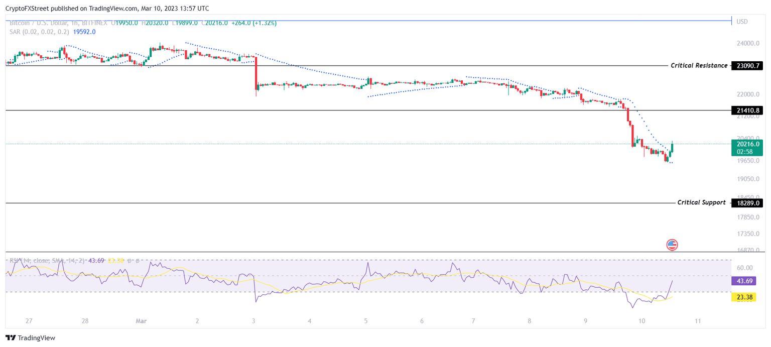 BTC/USD 1-day chart