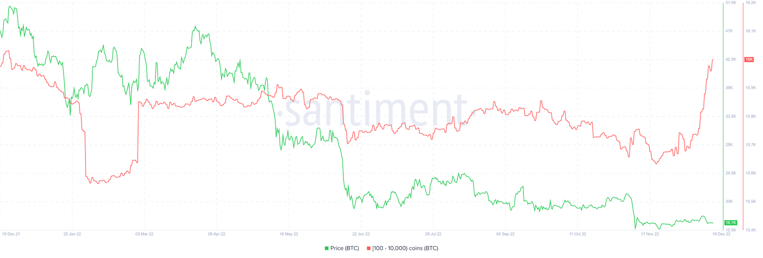 BTC supply distribution