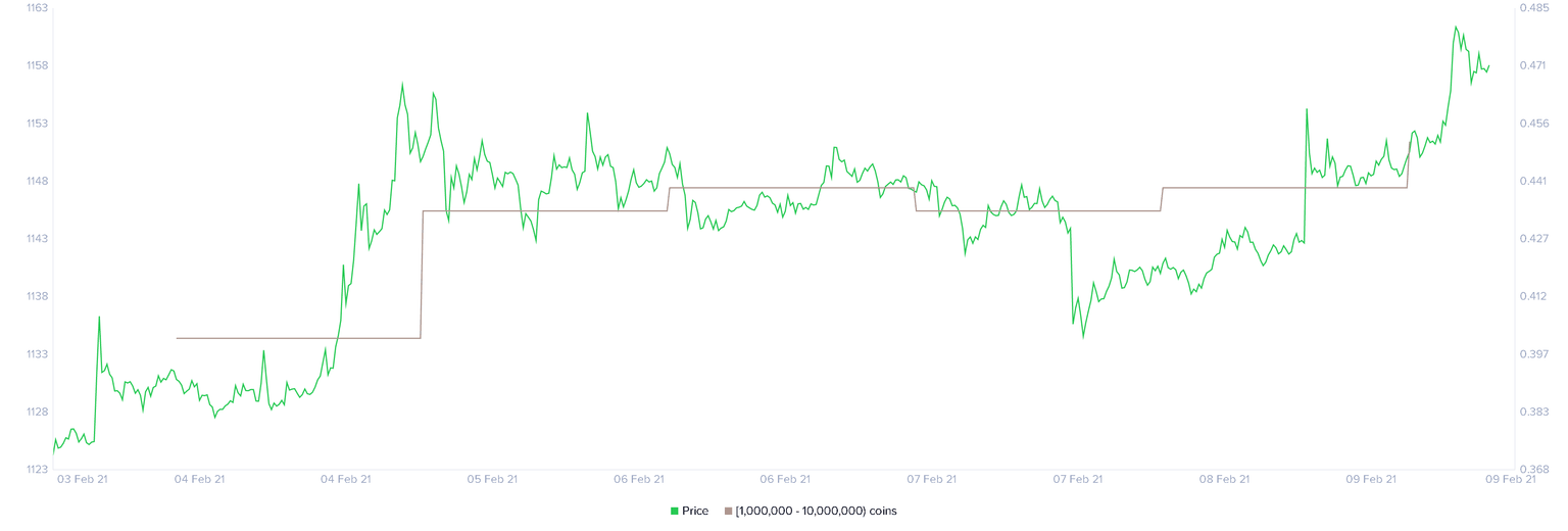 XRP Holders Distribution chart