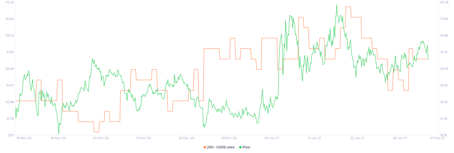 YFI Holders Distribution chart