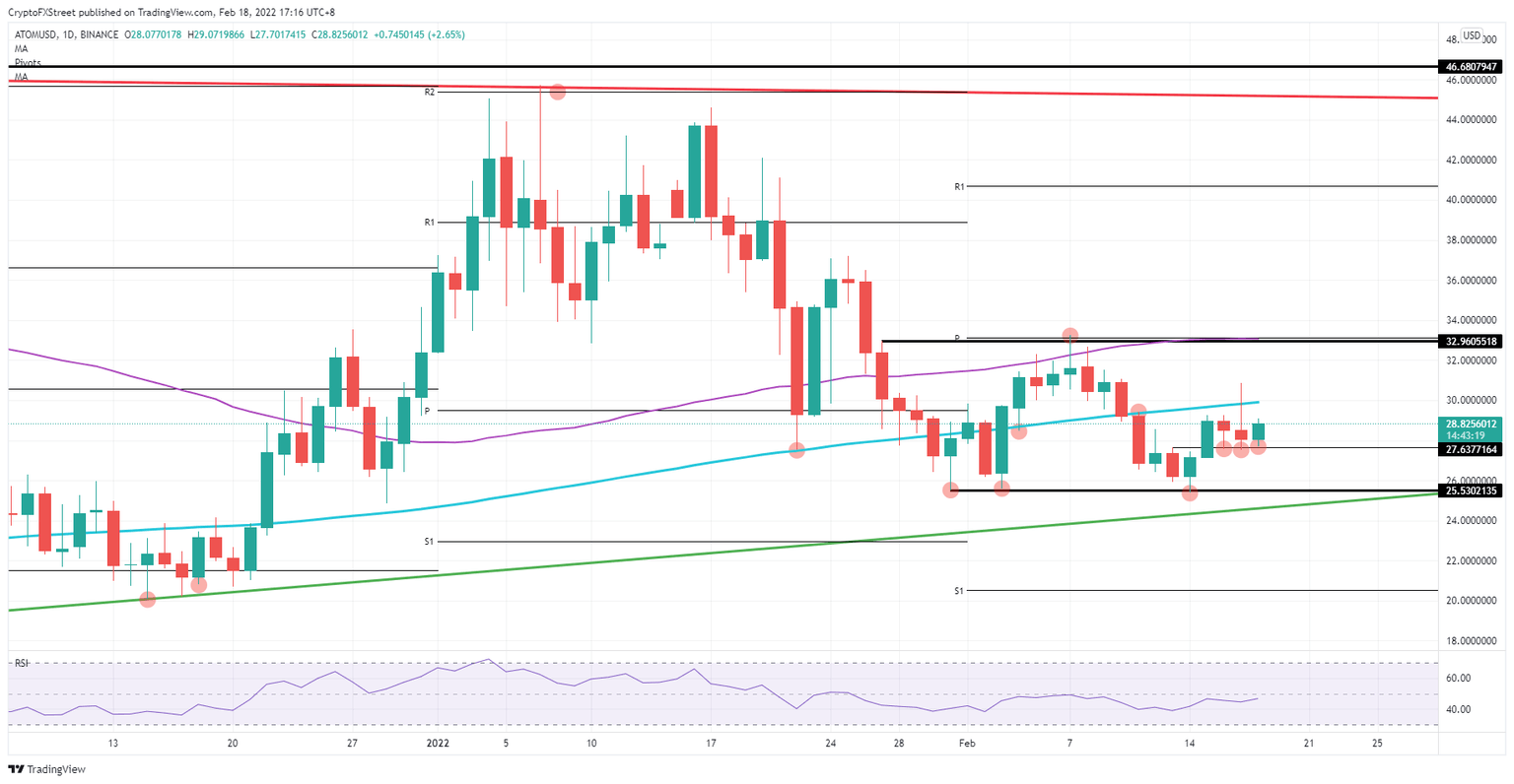 ATOM/USD daily chart