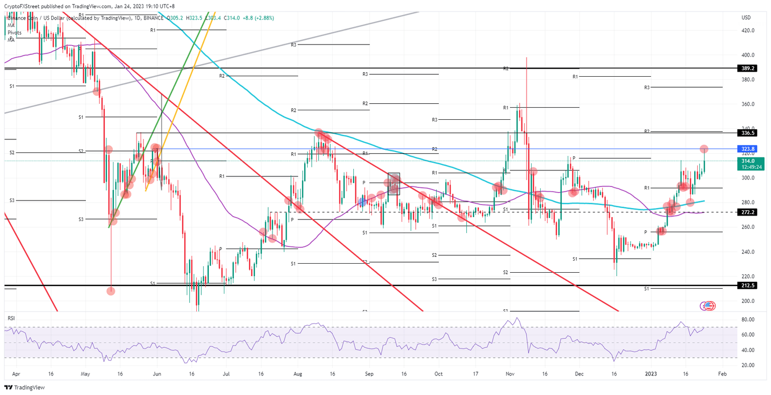 BNB/USD daily chart