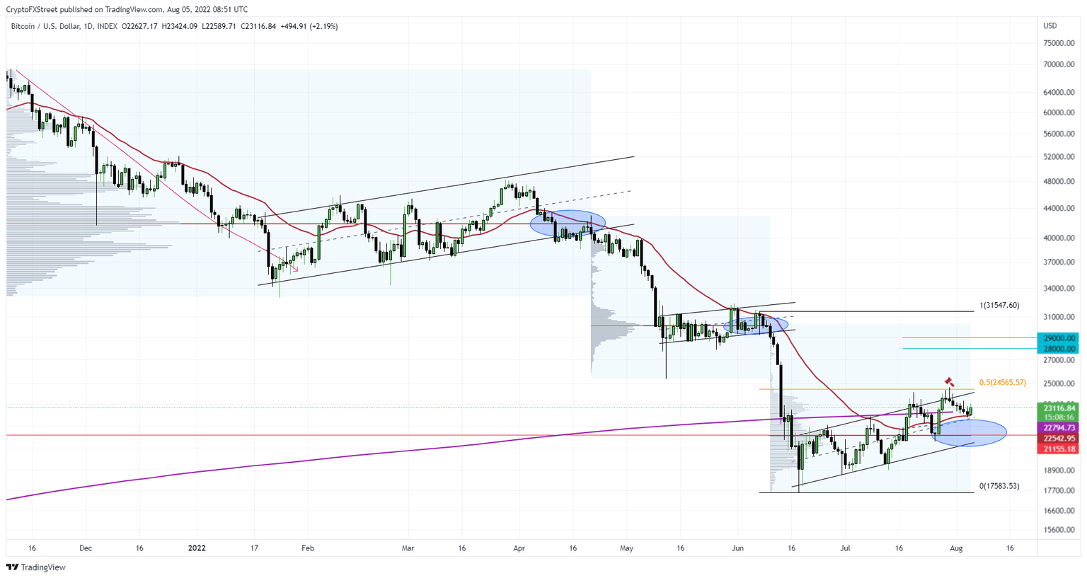 BTC/USD 1 -day chart