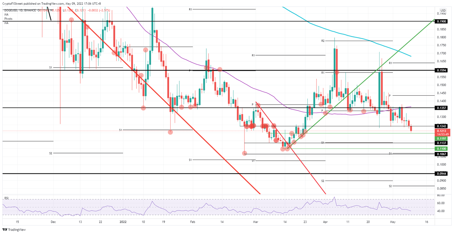 DOGE/USD daily chart