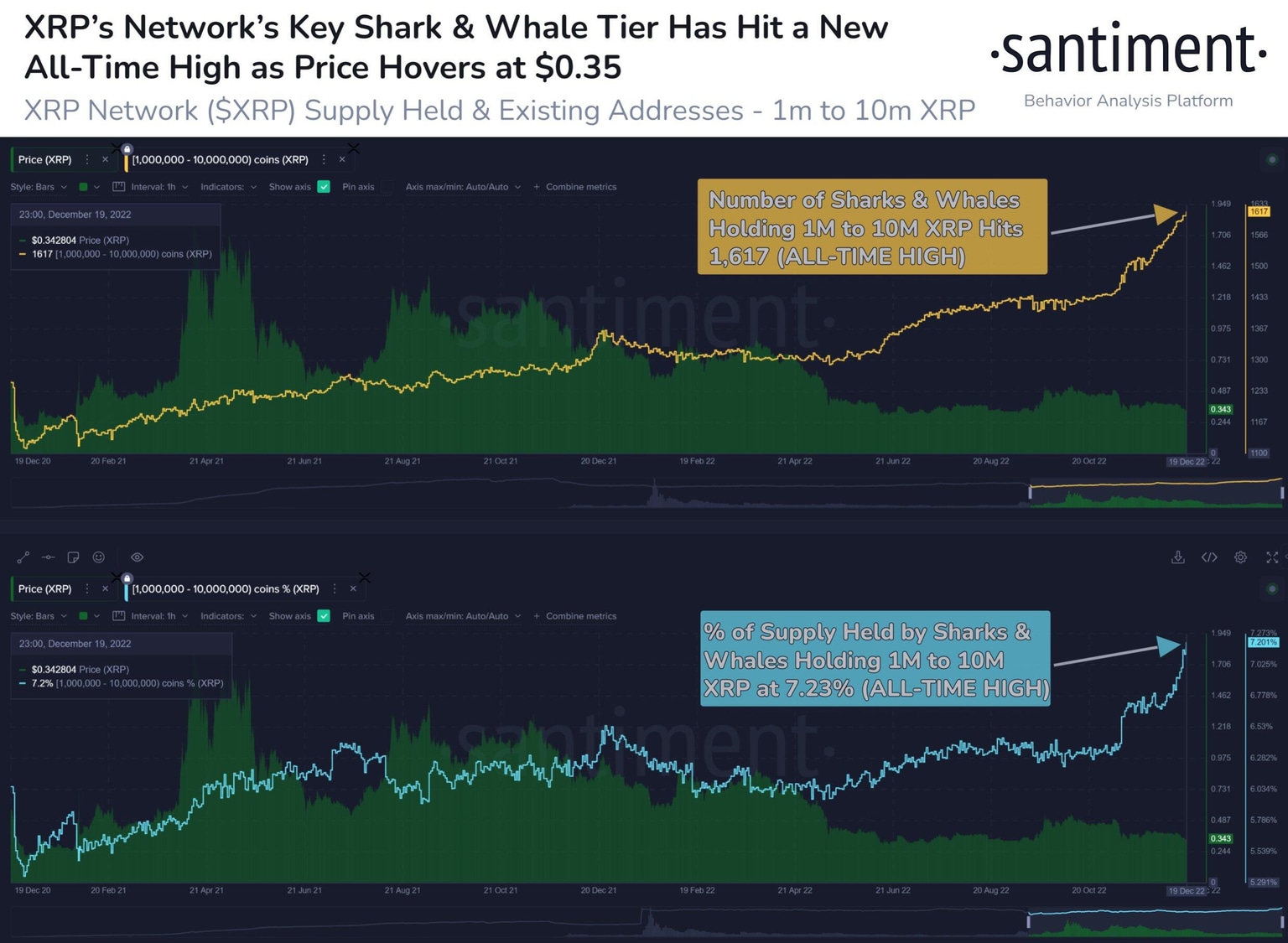XRP whales’ accumulation