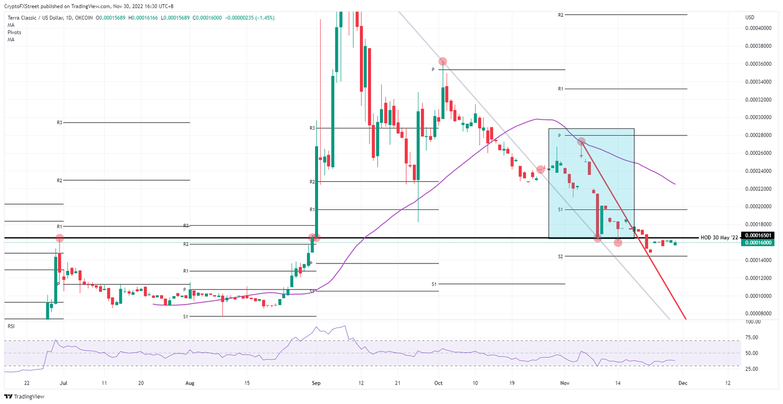 LUNC/USD daily chart