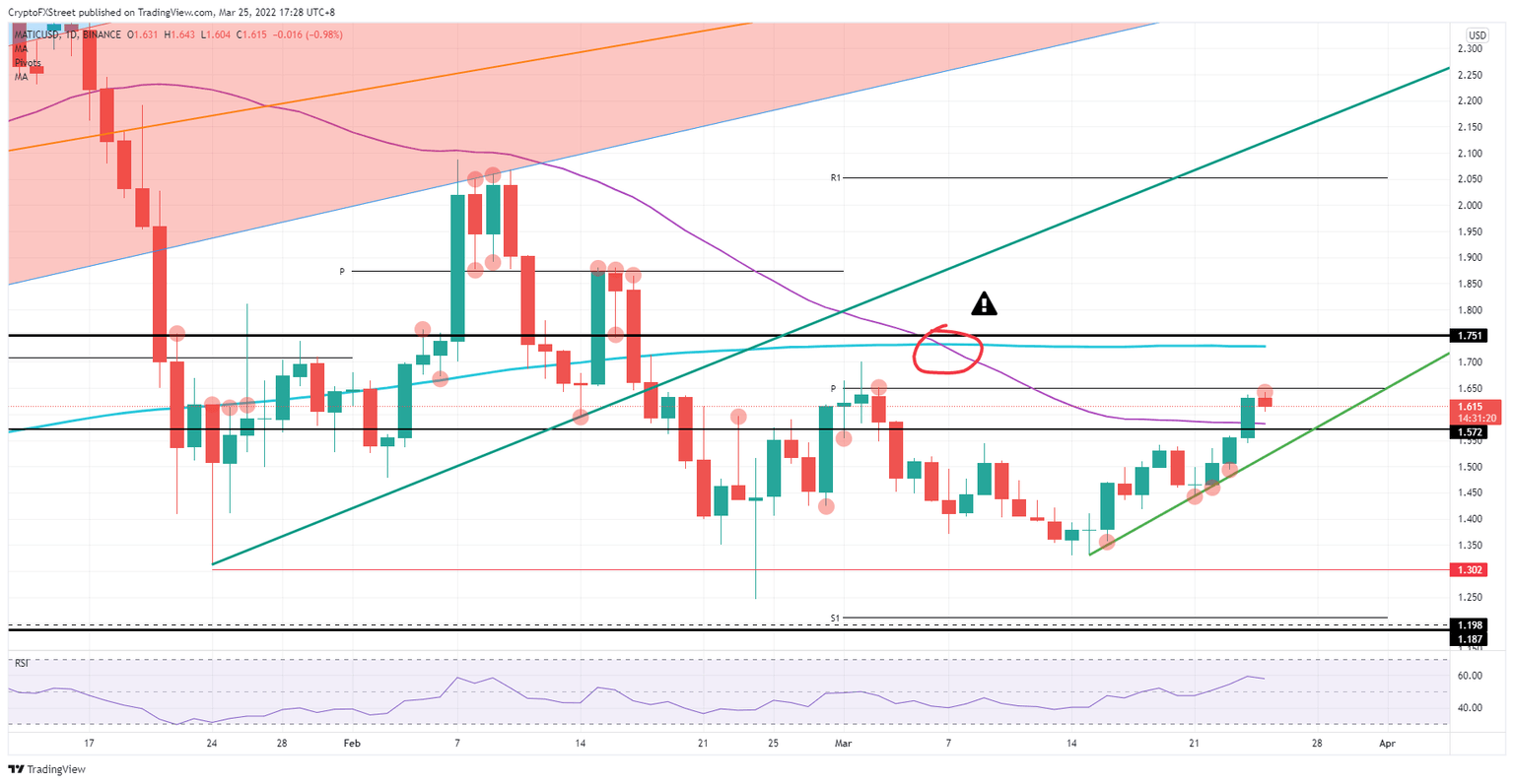MATIC/USD daily chart