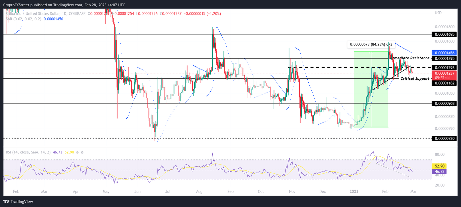 SHIB/USD 1-day chart