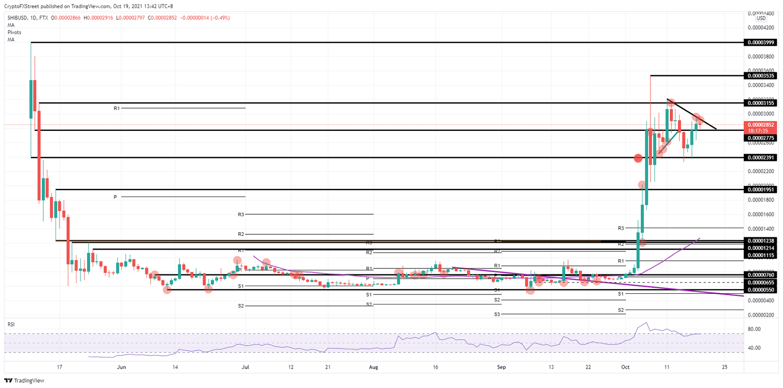 SHIB/USD daily chart
