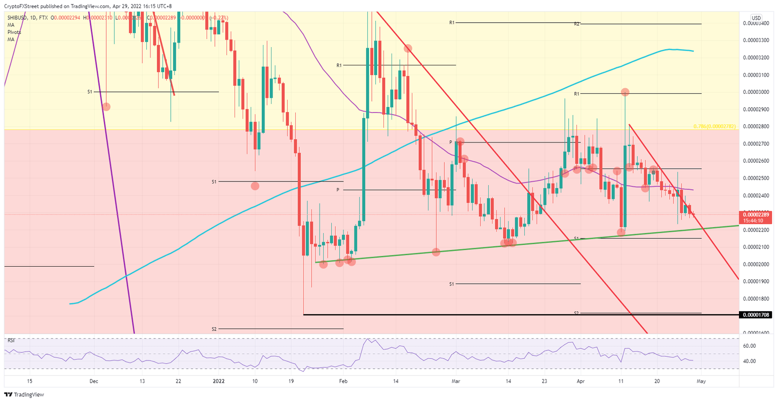 SHIB/USD daily chart