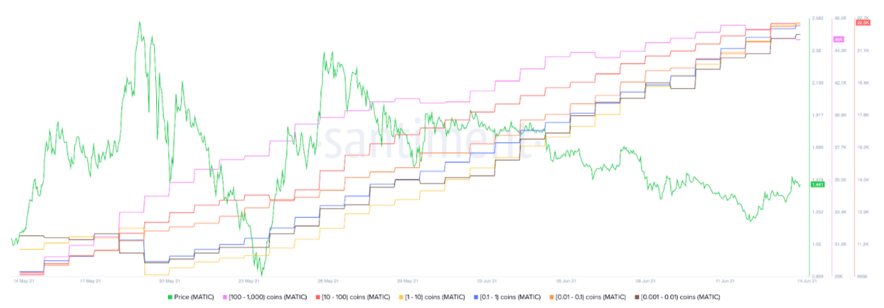 MATIC Supply Distribution