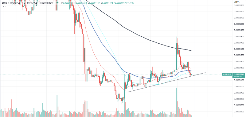 SHIB-USDT price chart