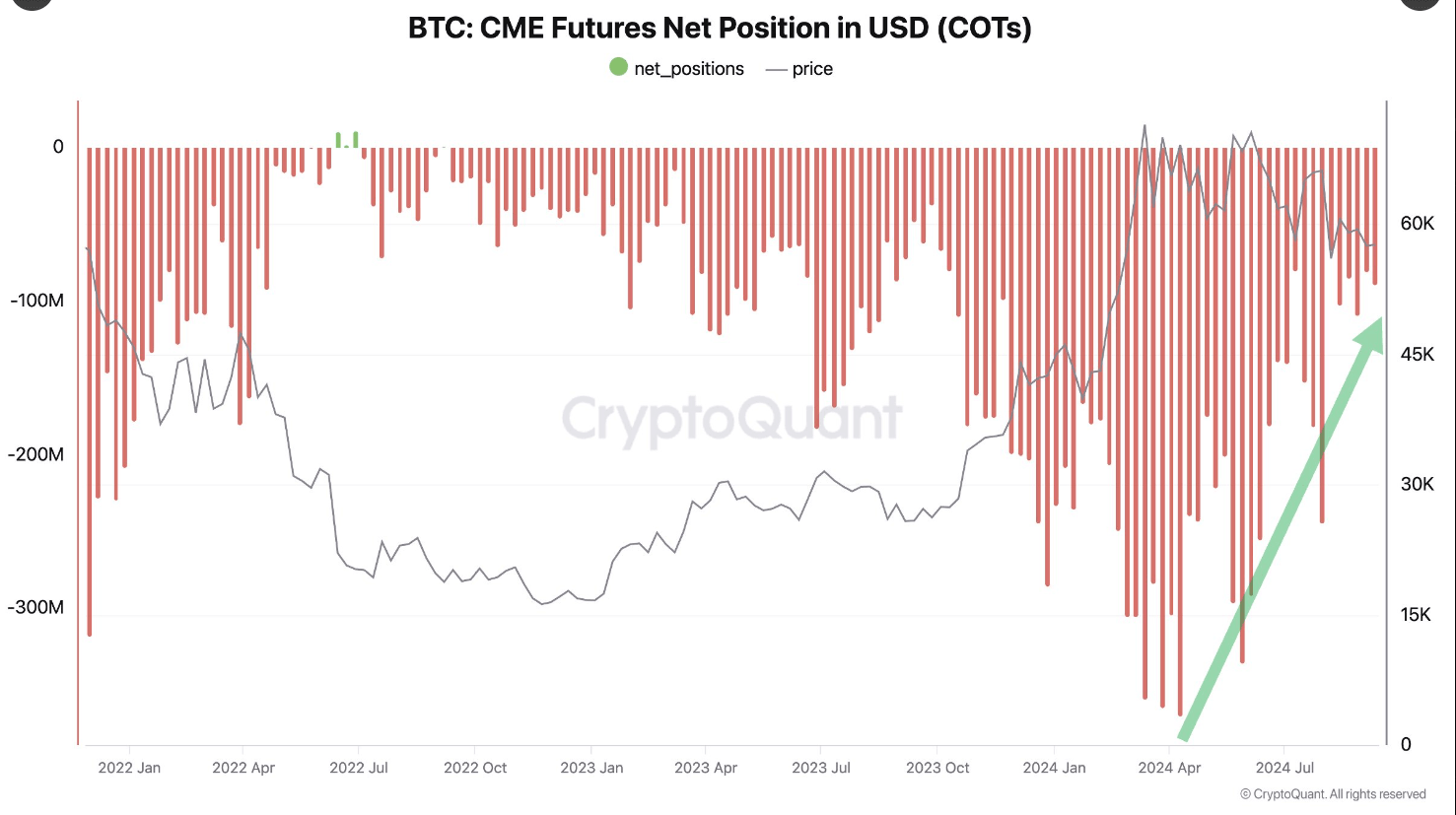 Bitcoin CME Futures Net Position chart