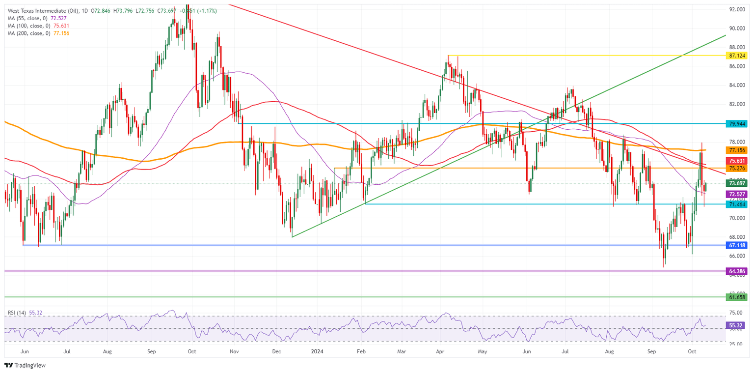 US WTI Crude Oil: Daily Chart
