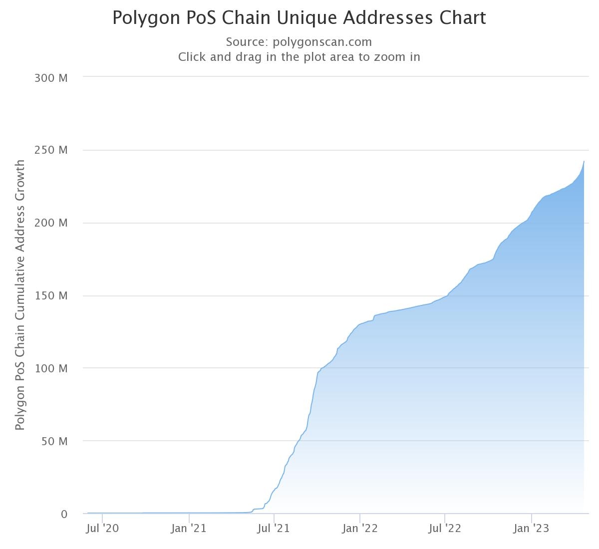 Polygon's unique wallet addresses