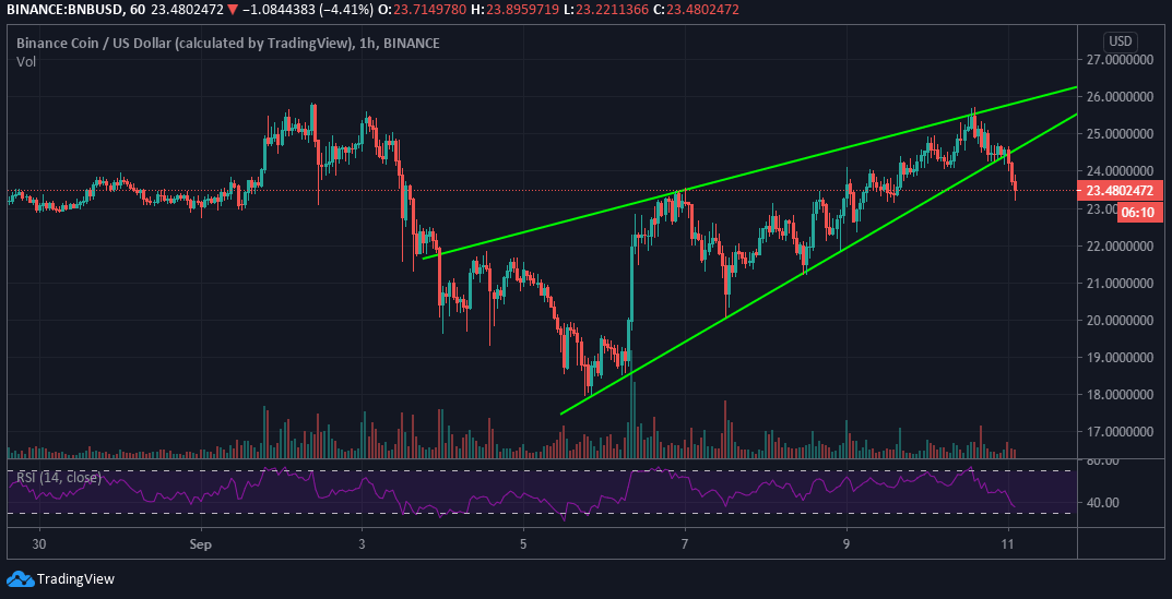 BNB/USD price chart