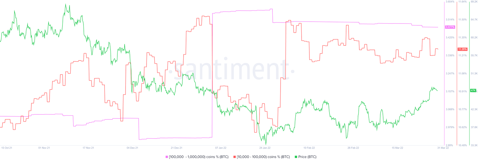 BTC supply distribution