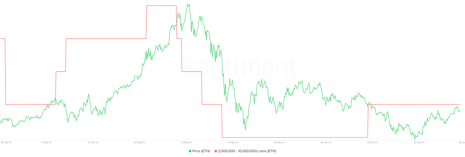 ETH supply distribution