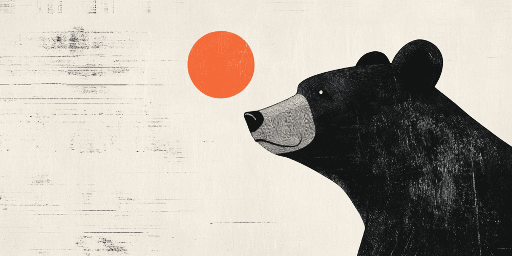 Bitcoin Cash trades lower, risks dead-cat bounce amid bearish signals